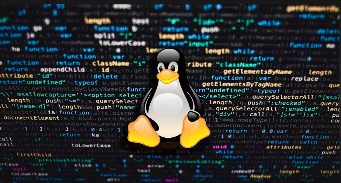 Best Linux Distros for Penetration Testing in 2024: Tackling Cybersecurity Challenges with the Right Tools